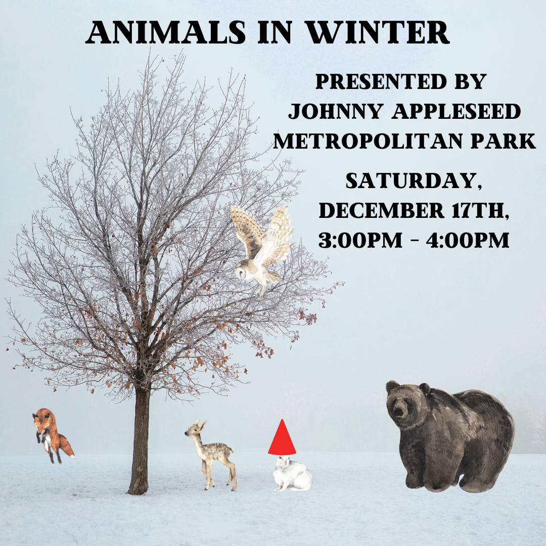 Animals in Winter